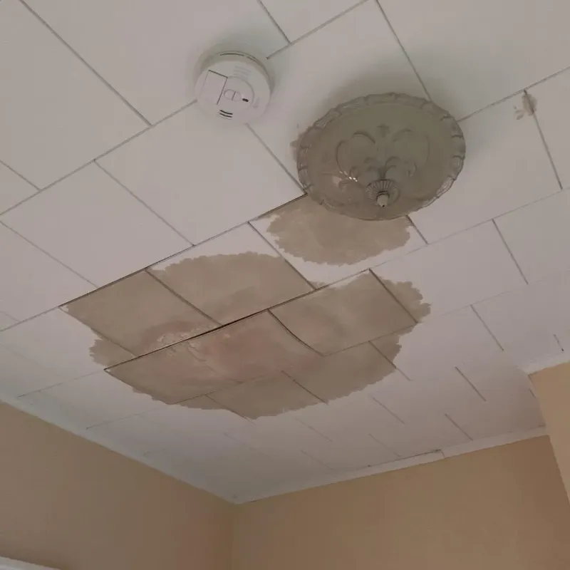 Ceiling Water Damage Repair in Quitman, MS