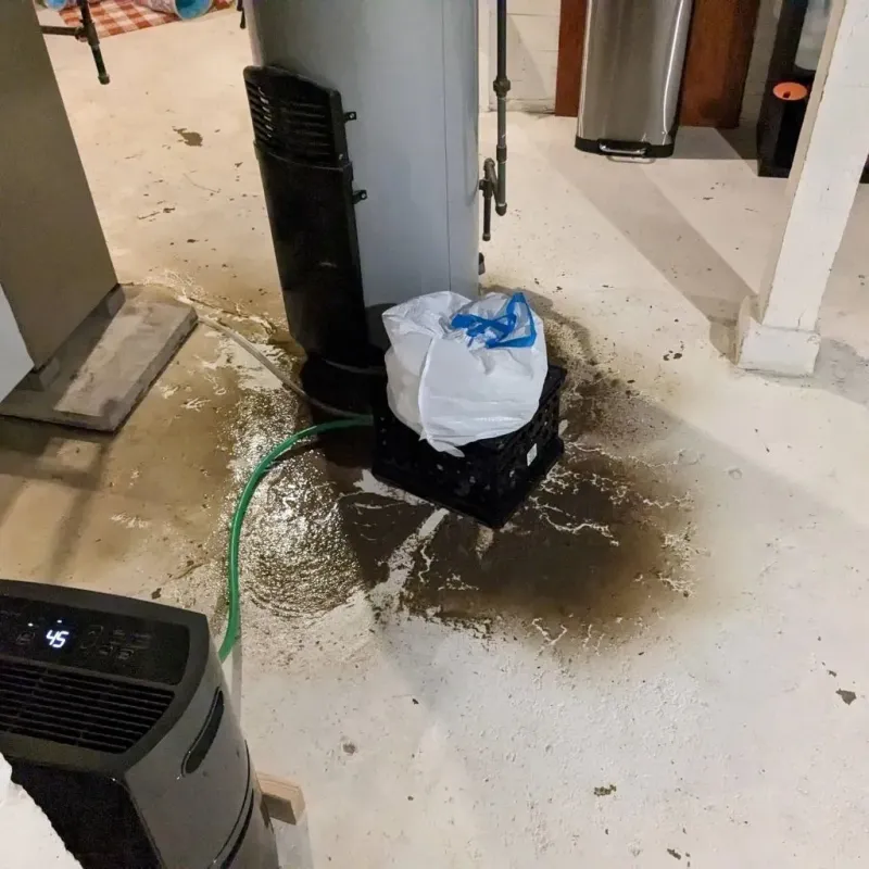 Sewage Backup Cleanup Service in Quitman, MS